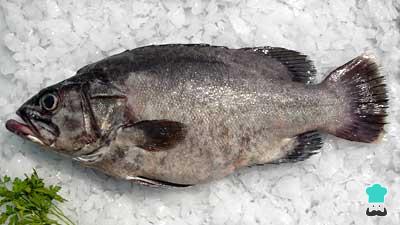 recette Salpicon mérou costa de azahar