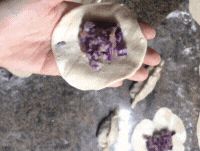 Recette de Gyozas au porc - Étape 7